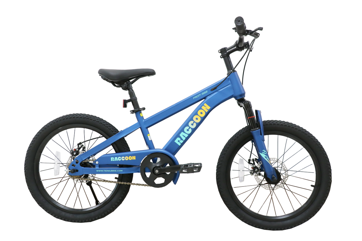 Raccoon Bicycle 22 Inch Blue TN24R67 22IN - Colorland Toys