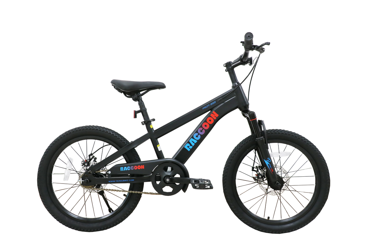 Raccoon Bicycle 20 Inch Black TN24R67 20IN