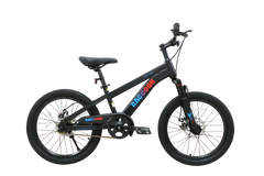Raccoon Bicycle 20 Inch Black TN24R67 20IN