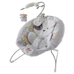 Fisher-Price Sweet Snugapuppy Deluxe Bouncer GWD50 - Colorland Toys