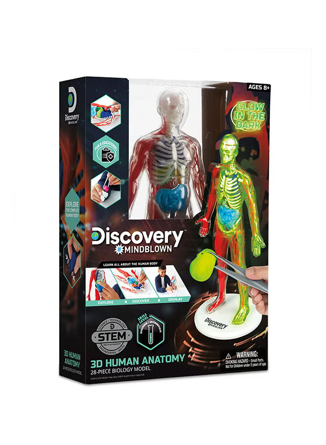 Discovery Mindblown - 3D Human Anatomy Kit - Colorland Toys