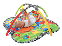 Clip Clop Musical Activity Gym - Colorland Toys