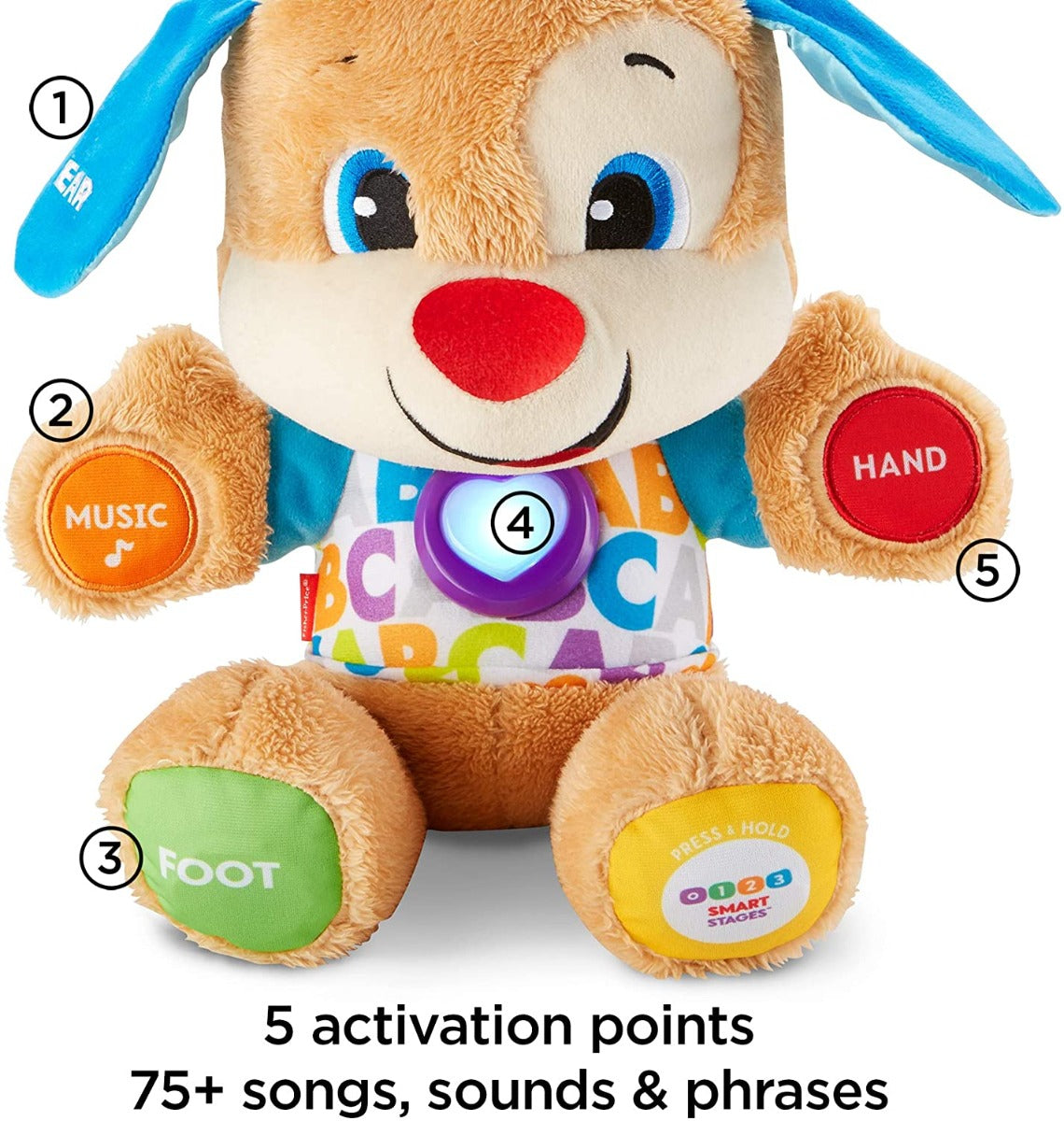 Fisher Price Laugh & Learn Smart Stages Puppy FPM43 - Colorland Toys