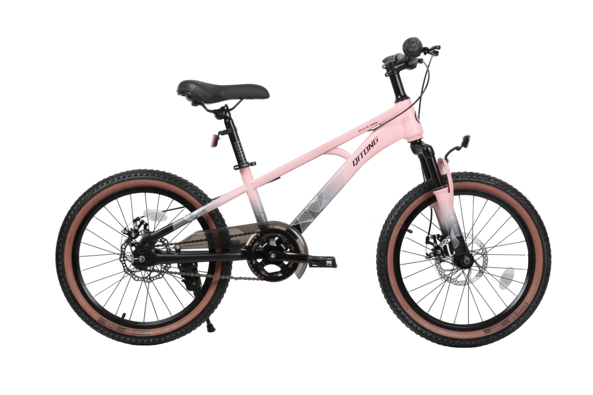 Qitong Bicycle 20 Inch Pink TN23A04 20IN - Colorland Toys