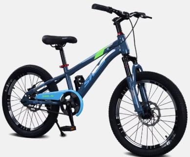 SWLS Bicycle 20 Inch Blue B11971/TSH-C — image 1