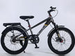SWLS Bicycle 20 Inch Khaki B11971/TSH-C