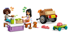 LEGO Friendship Road-Trip Travel V29 42659
