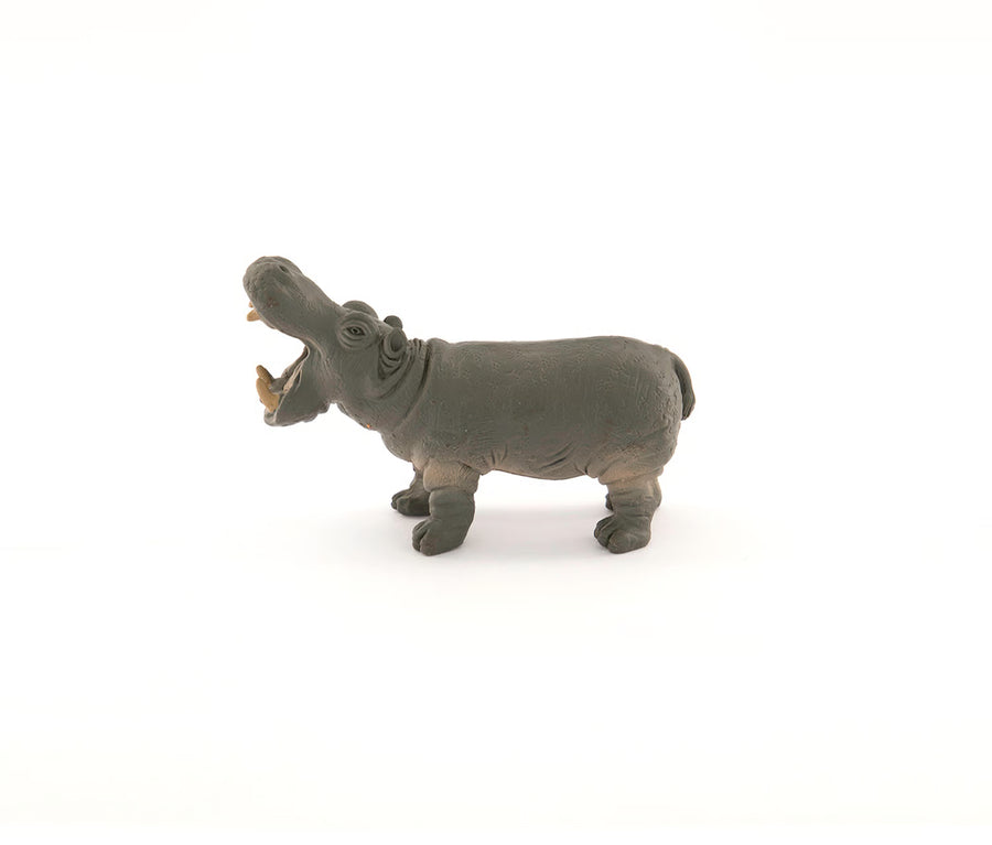 [NTC01015] National Geographic Hippopotamus NTC01015 — image 1