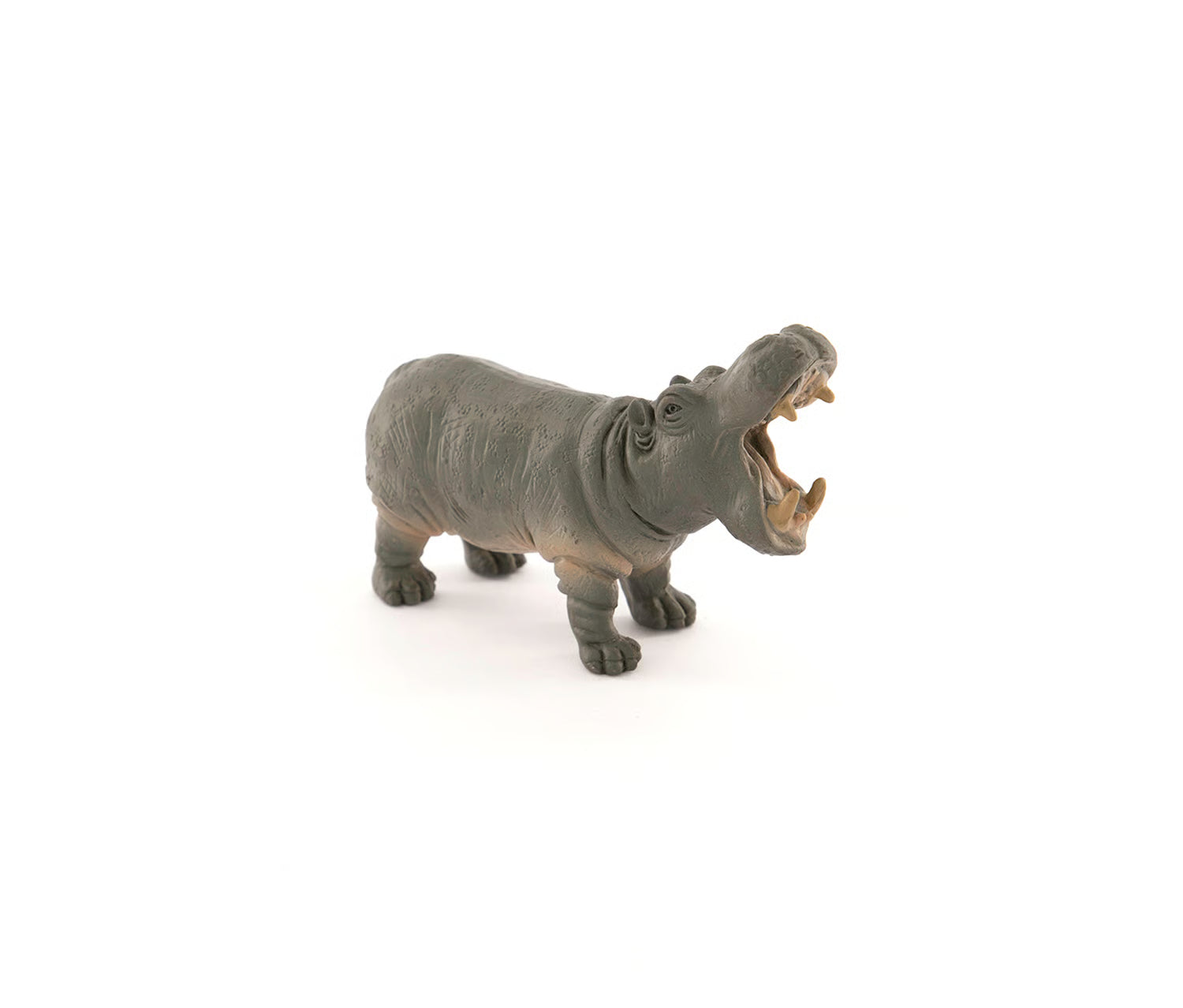 [NTC01015] National Geographic Hippopotamus NTC01015 - Colorland Toys