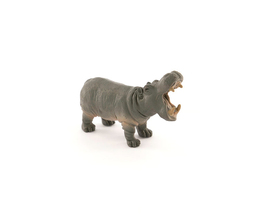 [NTC01015] National Geographic Hippopotamus NTC01015 — image 2