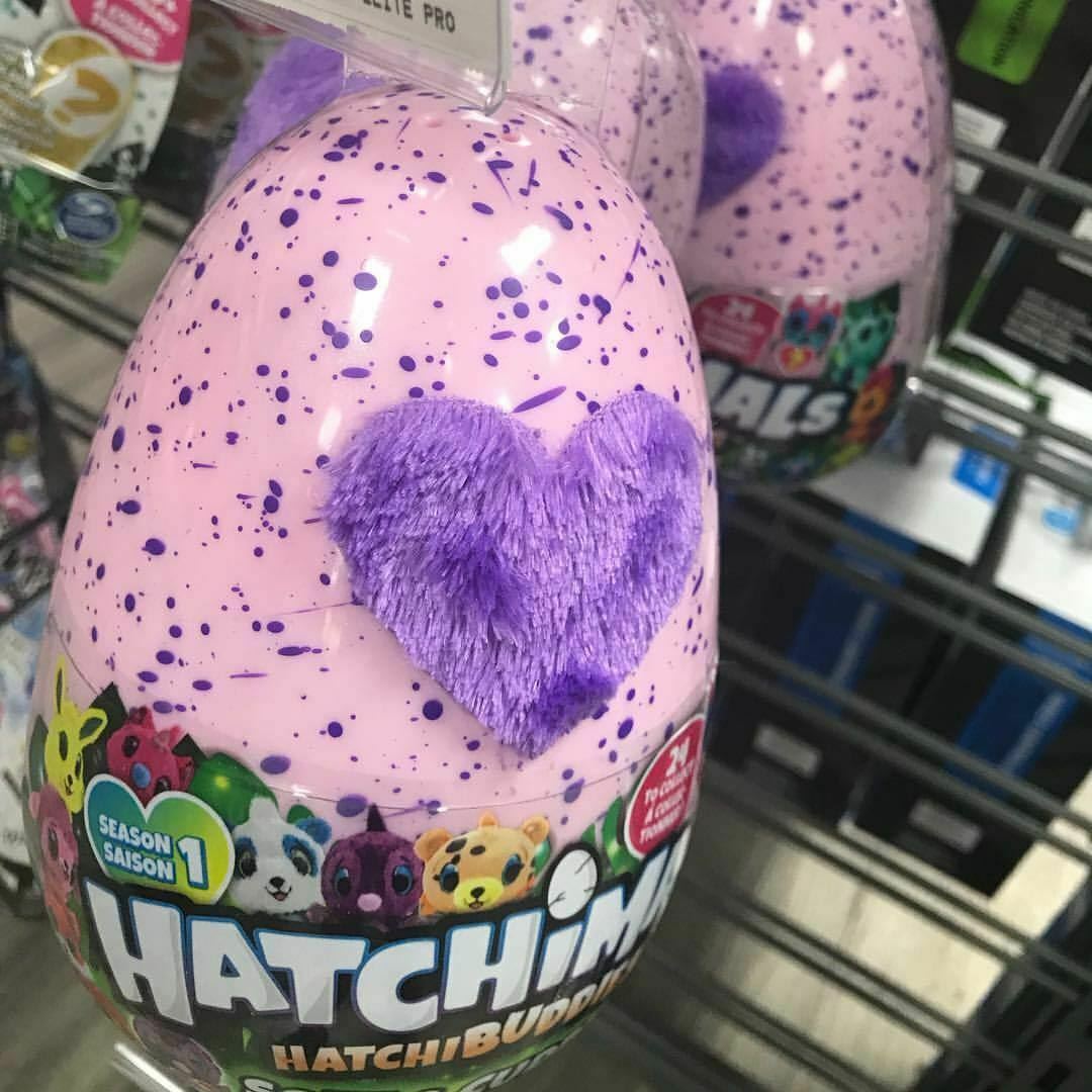 Hatchimals Hatchi Buddies Soft & Cuddly Assorted 6045430 - Colorland Toys