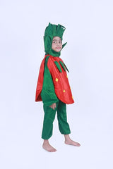 STRAWBERRY 308 6-7