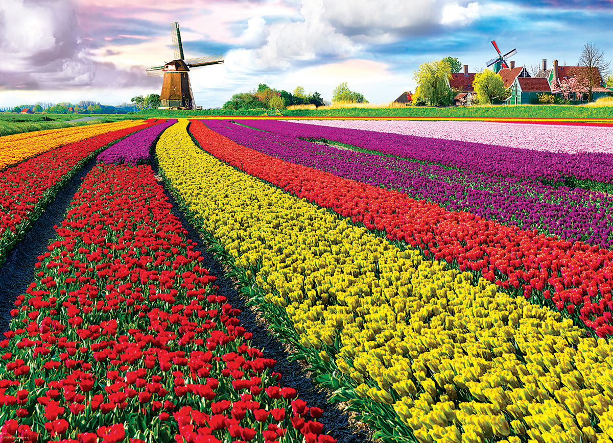 Eurographics Puzzle 1000-Pcs Tulip Fields 6000-5326