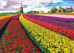 Eurographics Puzzle 1000-Pcs Tulip Fields 6000-5326