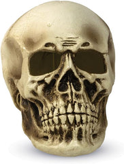 Halloween Green Light-Up Skull 299092