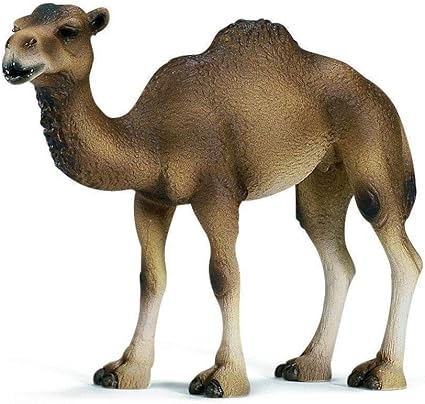 Schleich Dromedary Mare Camel 14355 - Colorland Toys