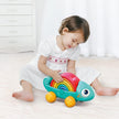 Hola Rainbow Chameleon HE795700