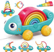 Hola Rainbow Chameleon HE795700