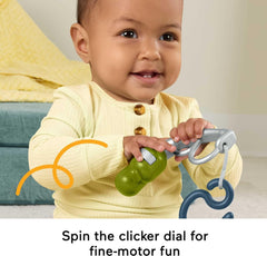 Fisher Price Squishseas Silicone Rattle Asstd.