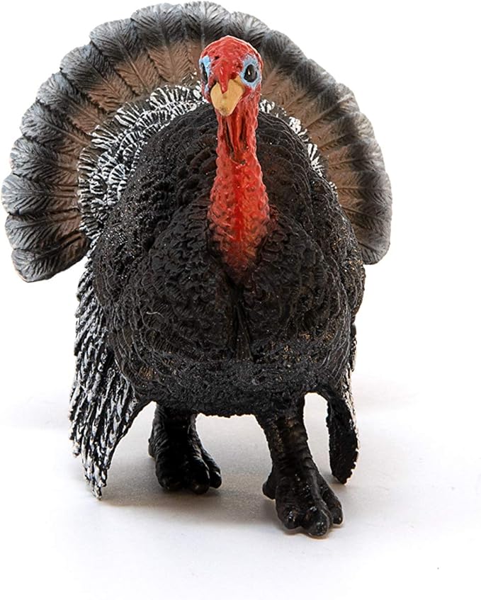 Schleich Turkey 13900 - Colorland Toys