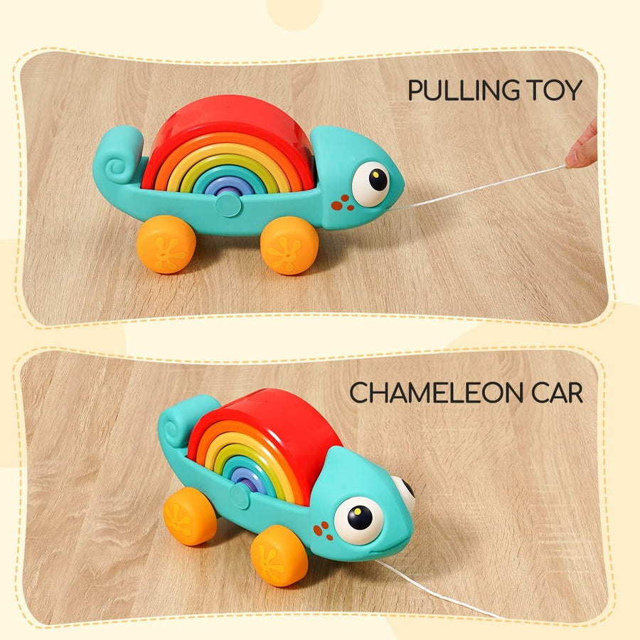 Hola Rainbow Chameleon HE795700 — image 5