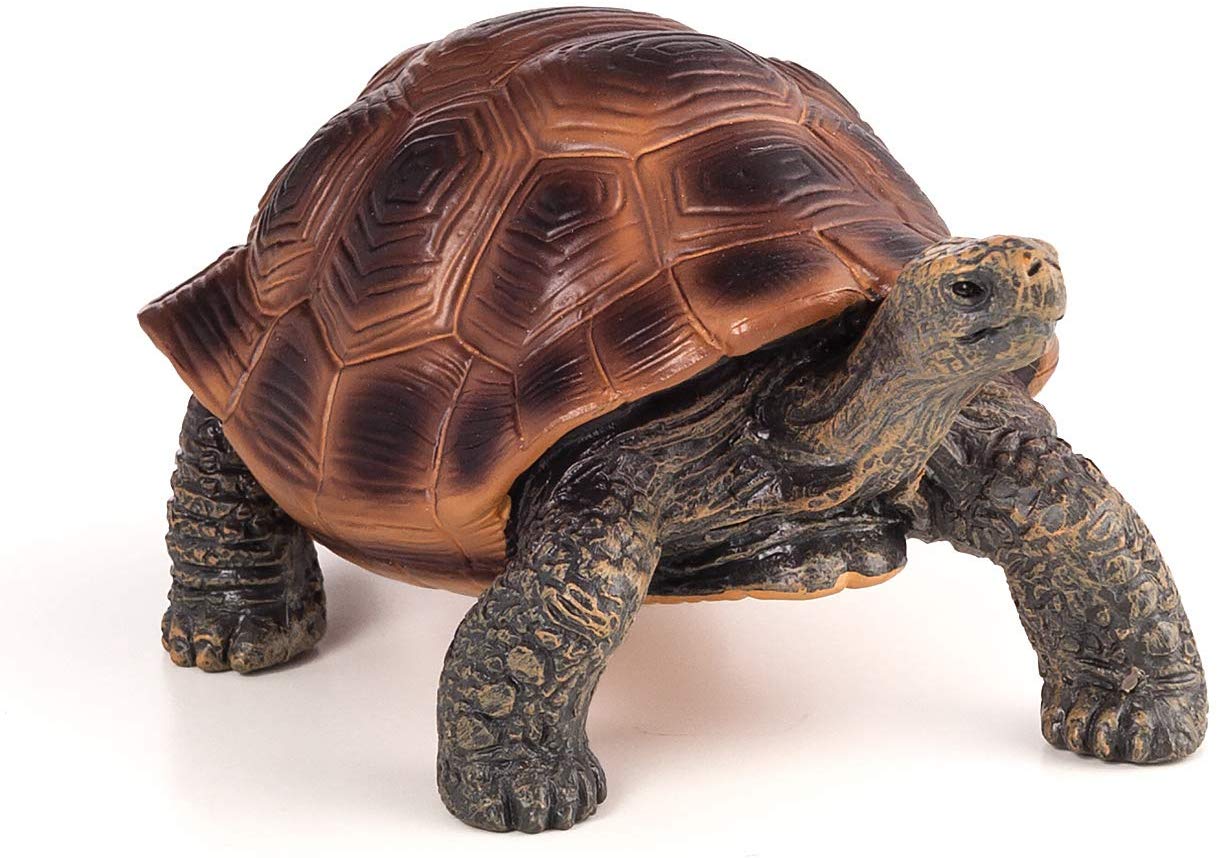 Mojo Nimal Planet Giant Tortoise - Colorland Toys