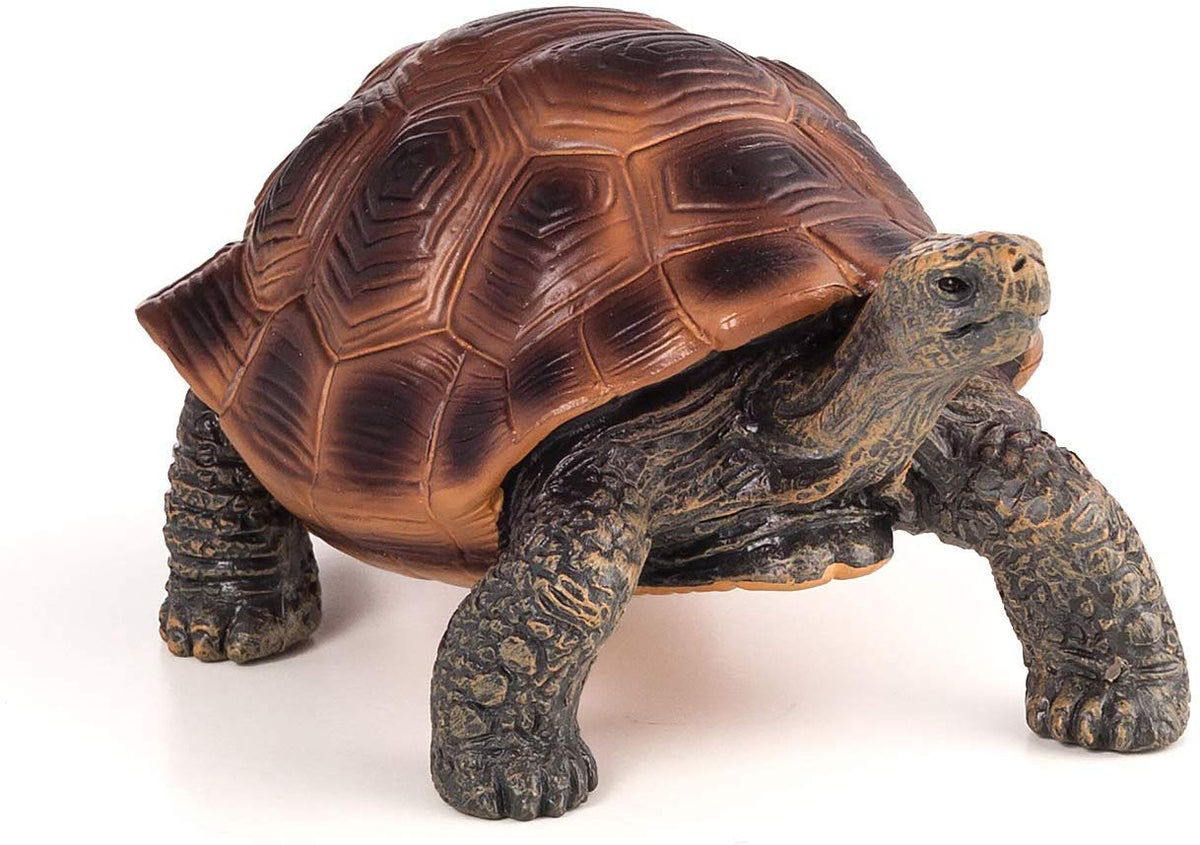 Mojo Nimal Planet Giant Tortoise - Colorland Toys