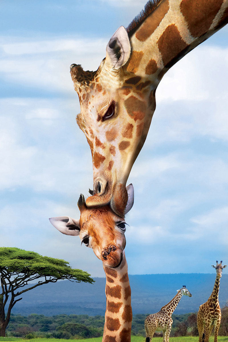 Eurographics Puzzle 250-Pcs Giraffes 8251-0294