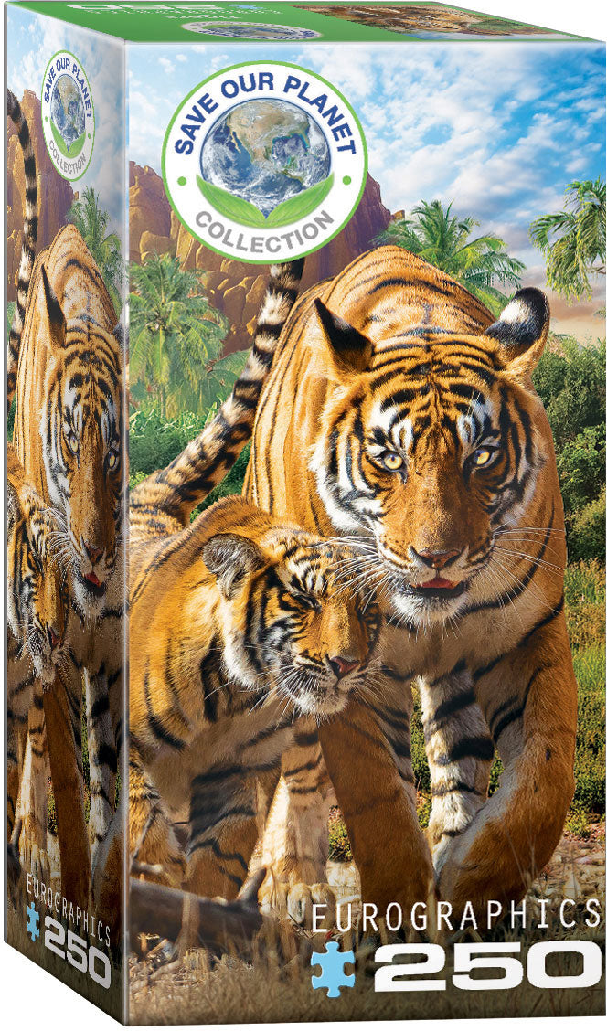 Eurographics Puzzle 250-Pcs Tigers 8251-5559