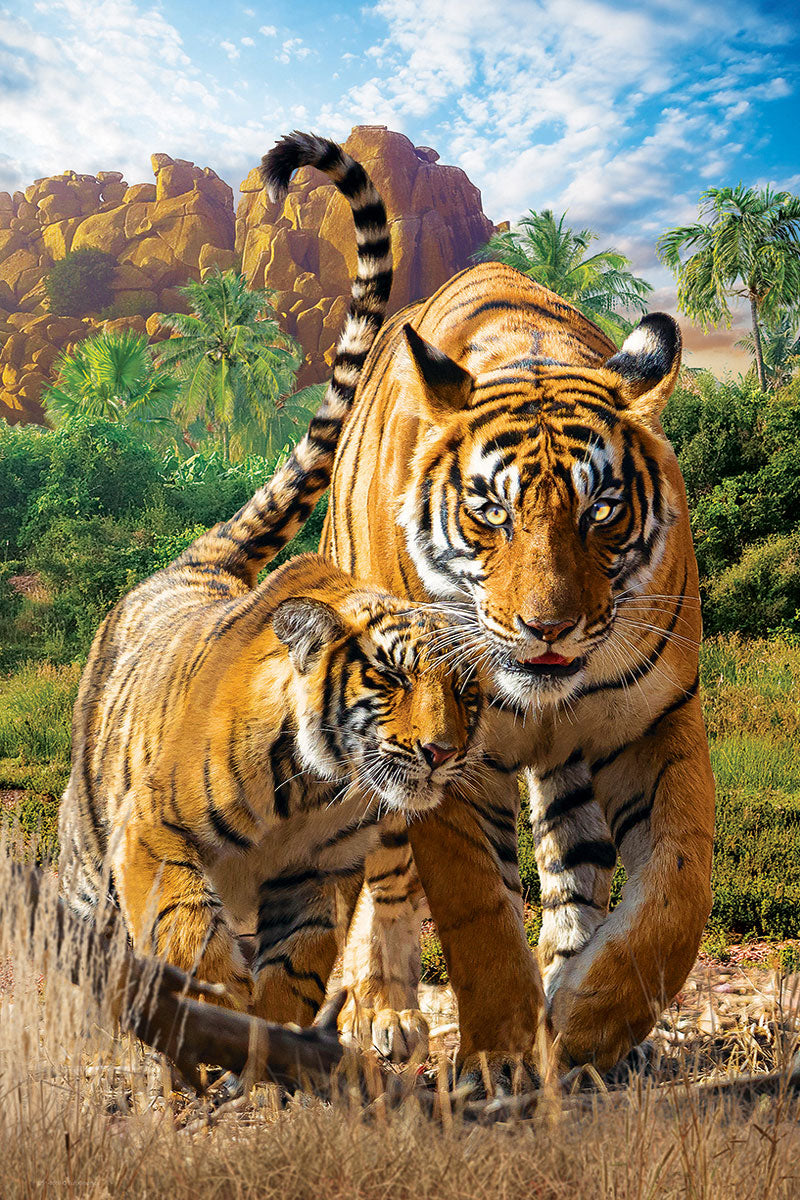 Eurographics Puzzle 250-Pcs Tigers 8251-5559