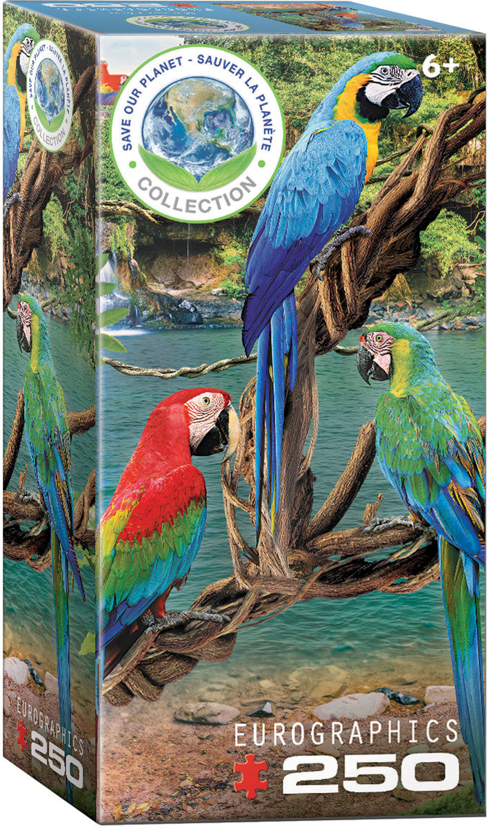 Eurographics Puzzle 250-Pcs Macaws 8251-5588