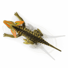 Terra RC Dilophosaurus Dinosaur AN2865Z