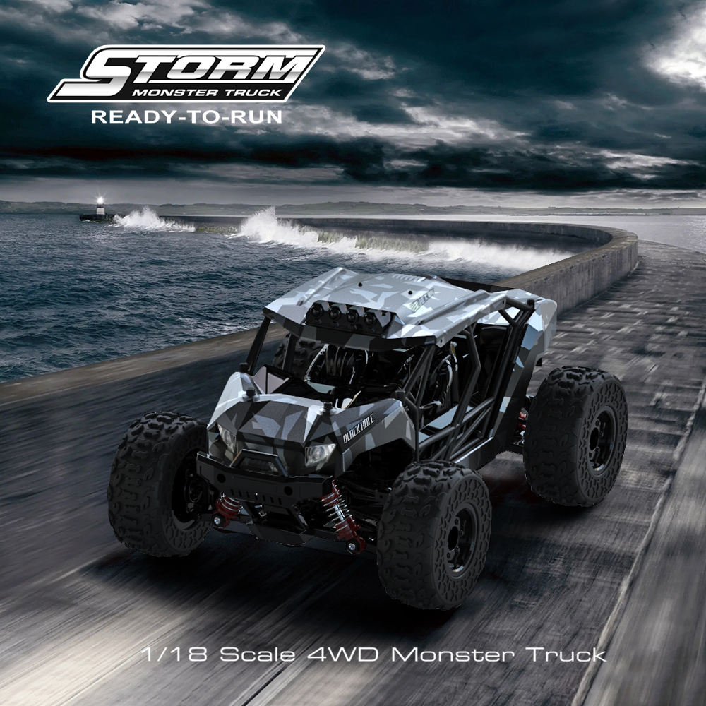 Black Hole 4-WD RC Car 1:18 Scale Asstd. HS18331 - Colorland Toys