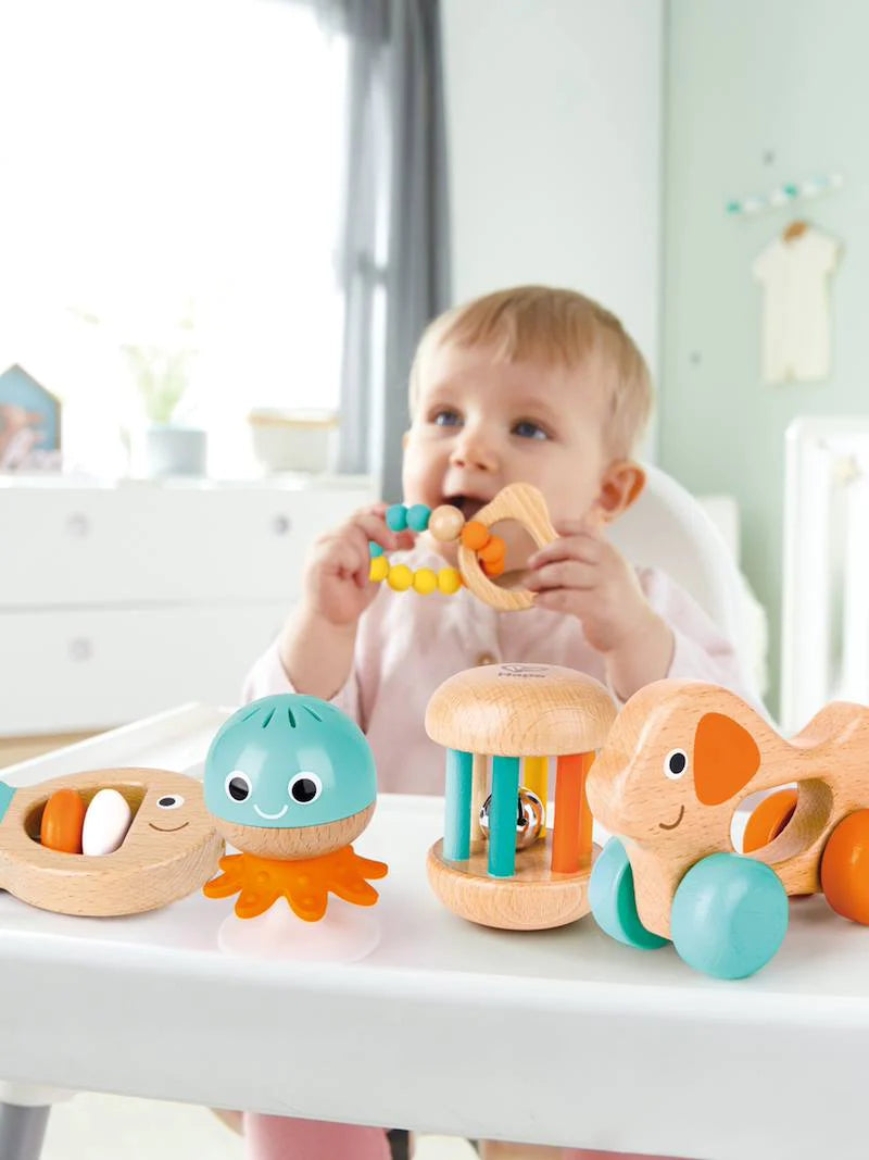 Hape Multi-stage Sensory Gift E0125