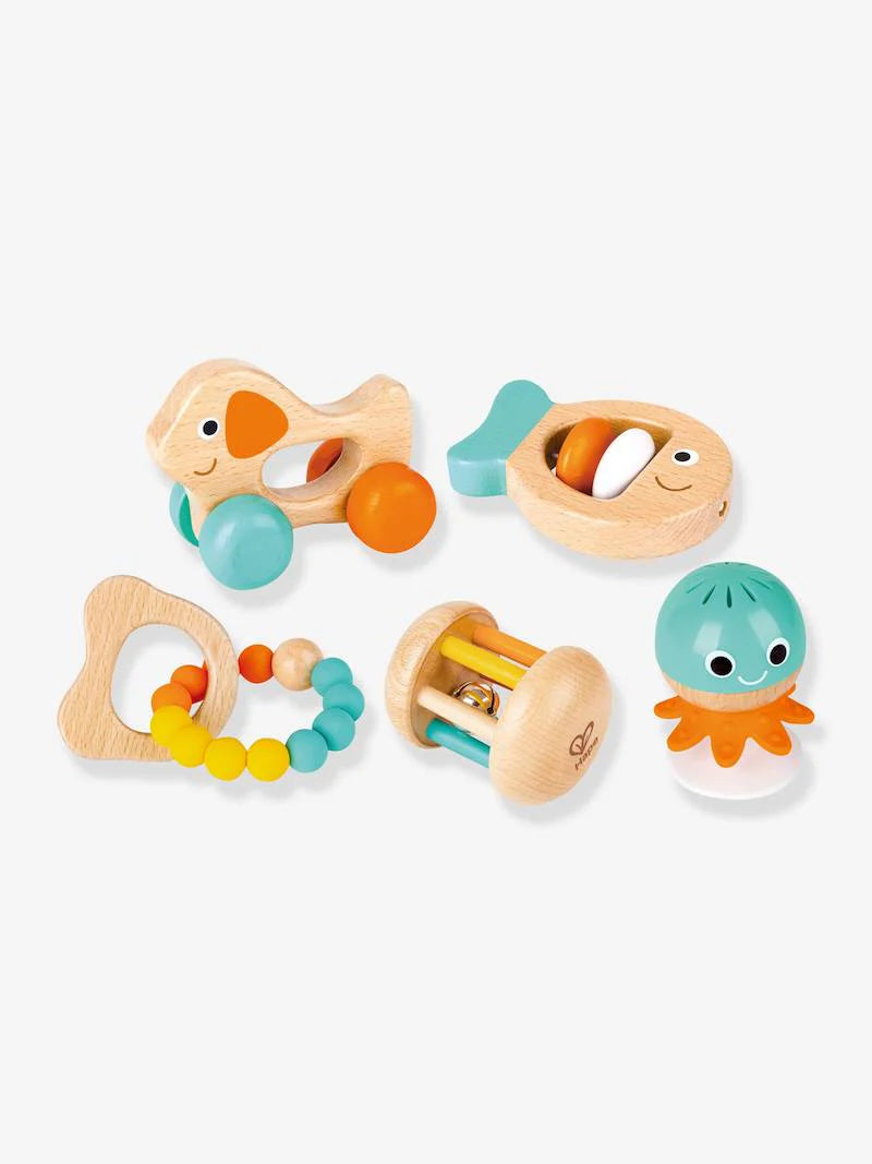 Hape Multi-stage Sensory Gift E0125