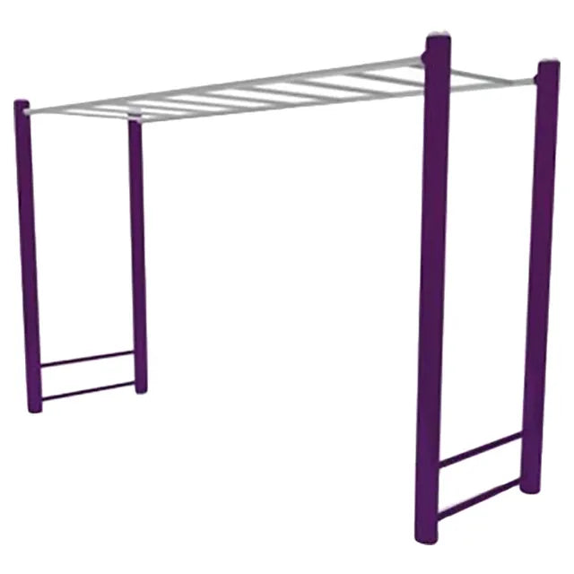 Monkey Bar Outdoor Playset. Q025 - Colorland Toys