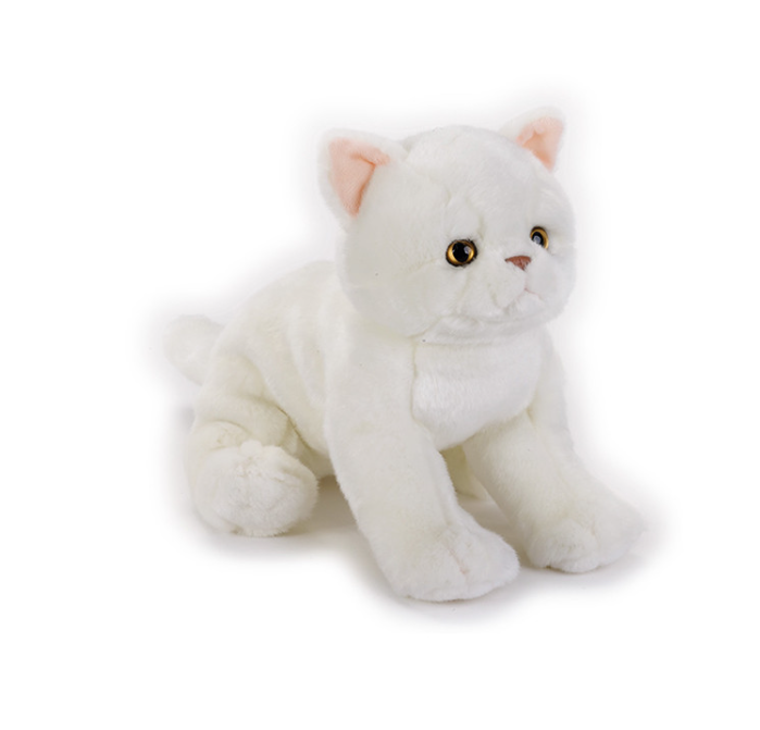 National Geographic Premium Exotic Cat 770672