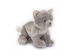 National Geographic Premium British Cat 770674