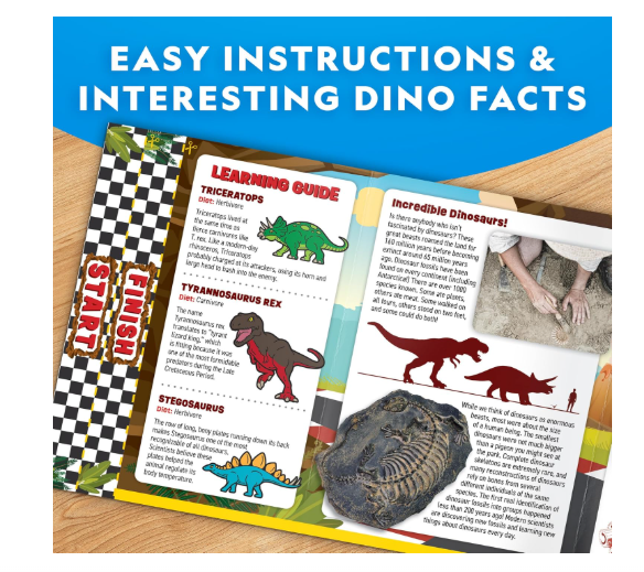 National Geographic Paint Your Own Dino Race Cars RTDINOCAR - Colorland Toys