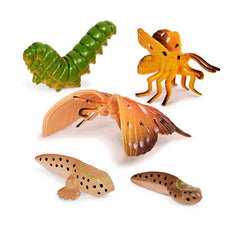 Terra 10-Pcs Metamorphosis Animals 4-8cm AN2891Z