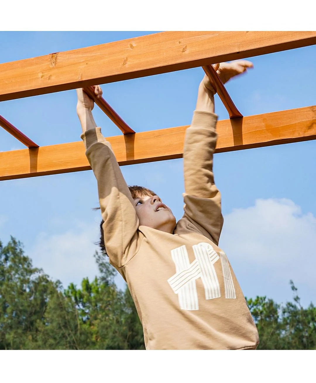 DYNAMIC SPORTS ARABIAN BIGHORN WOODEN SWING SET