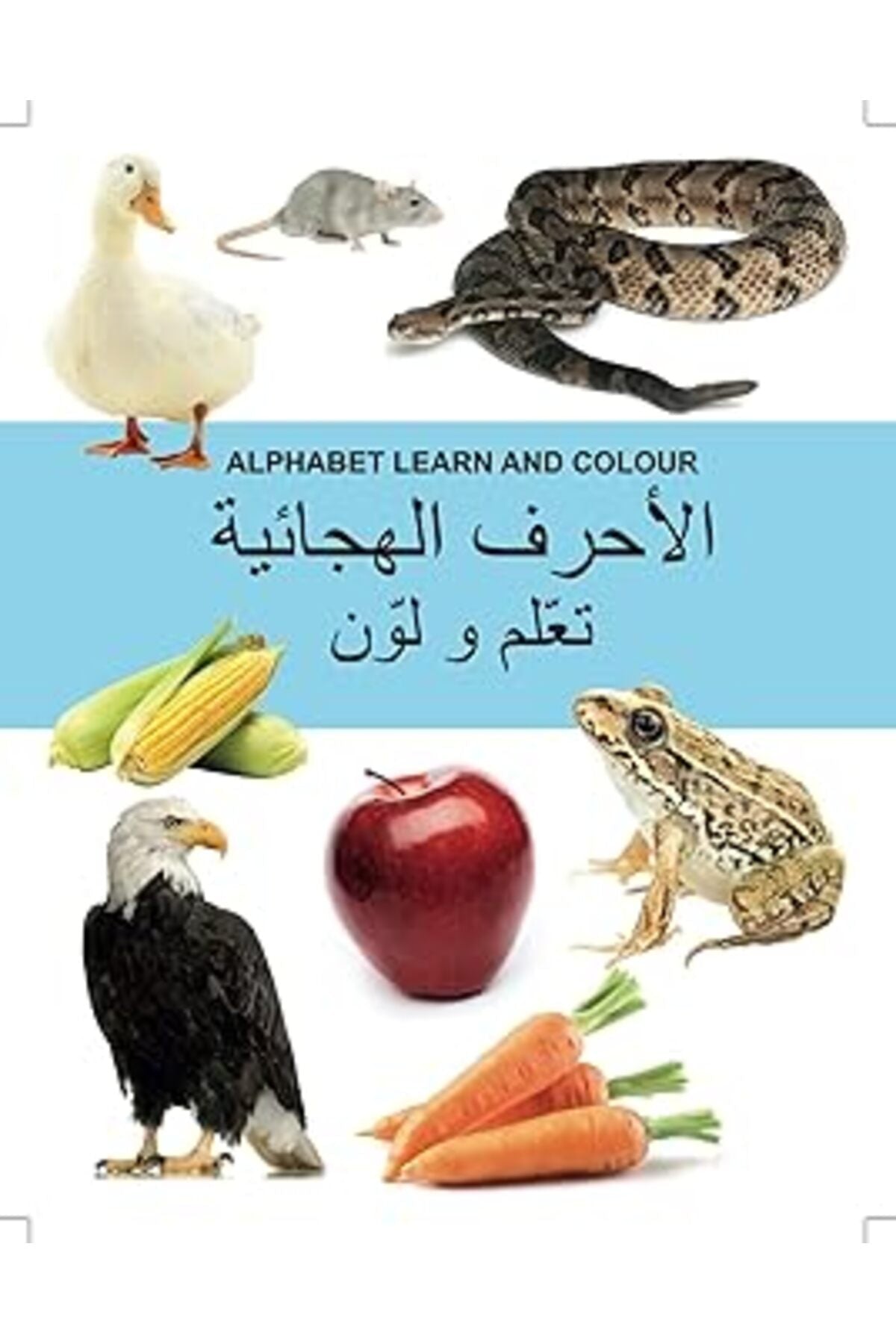 Alphabet Learn & Colour Arabic 14635 - Colorland Toys