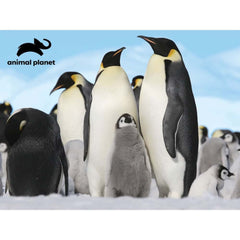 Animal Penguins Plush & Prime 3D Puzzle 48 Pieces 15809 - Colorland Toys