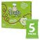 Apple Fruit Strings 5 x 20g ESF-356