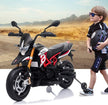 Aprilia Dorsoduro 900 Motor Bike SMB900