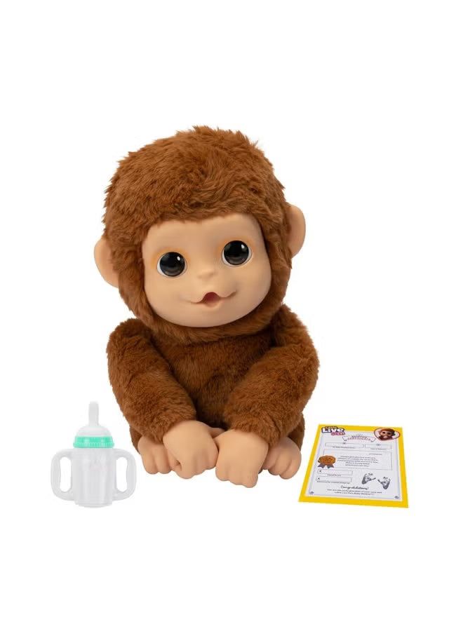 Little Live Pets My Baby Monkey Plush 26558 — image 4
