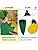 Banana Costume 72 2-3