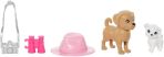 Barbie And Stacie Doll Set with 2 Pet Dogs HRM09 - Colorland Toys