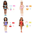 Barbie Dream Besties Opp Asstd. JGH82