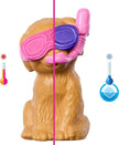 Barbie Puppy Pool Party Playset with Doll, Dog House & Slide